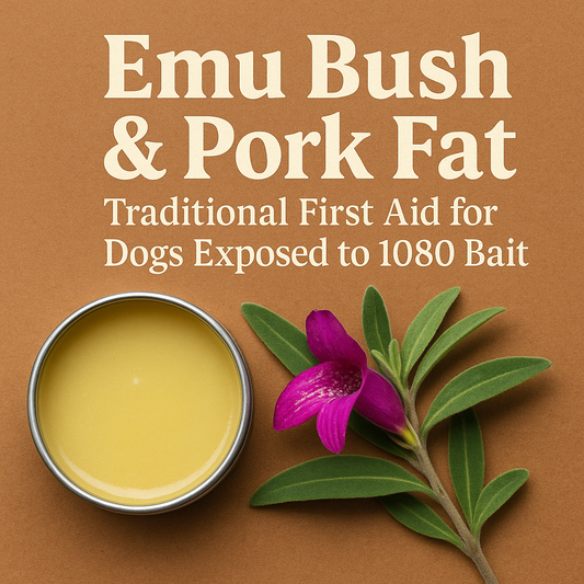 Emu Bush &amp; Pork Fat: Traditional First Aid for Dogs Exposed to 1080 Bait